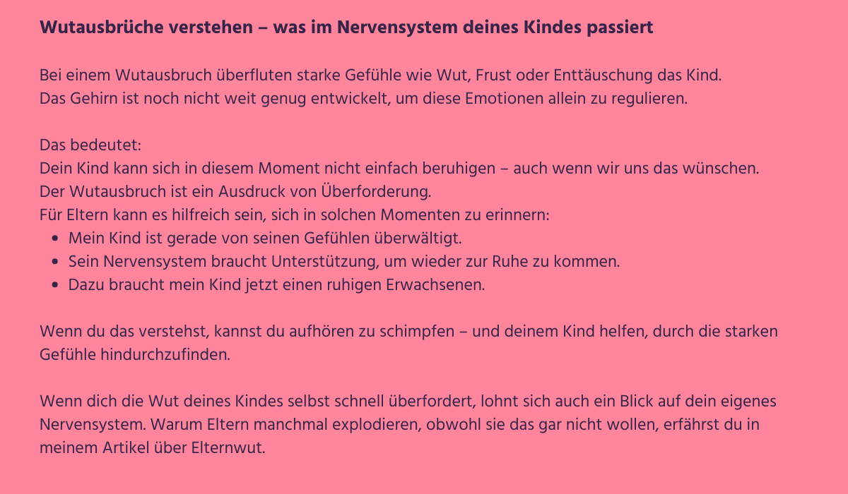 Wutausbrüche verstehen - was im Nervensystem deines Kindes passiert